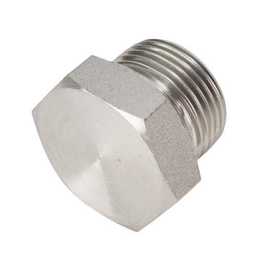 Stainless Steel Plug 1"